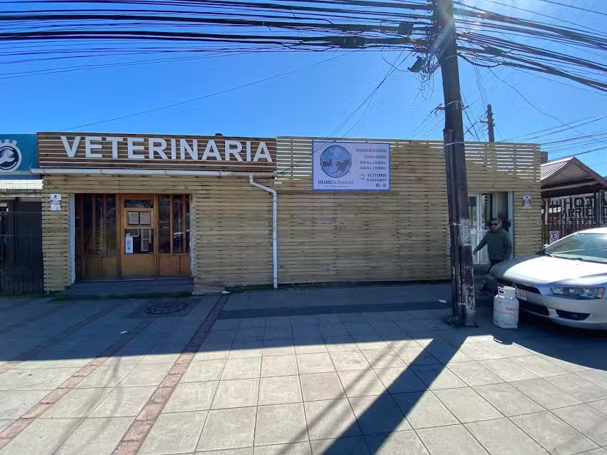 Cl&iacute;nica Veterinaria Mundo Animal Pets