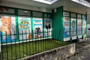 Cl&iacute;nica Veterinaria Mundo Pets