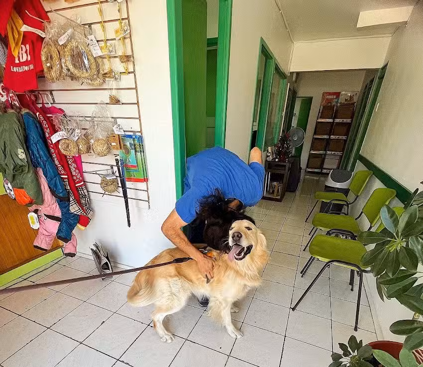 Clinica Veterinaria Nativa