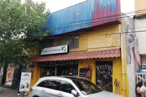 Clinica Veterinaria Omilen Antu Spa