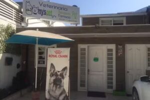 Clinica veterinaria One Health