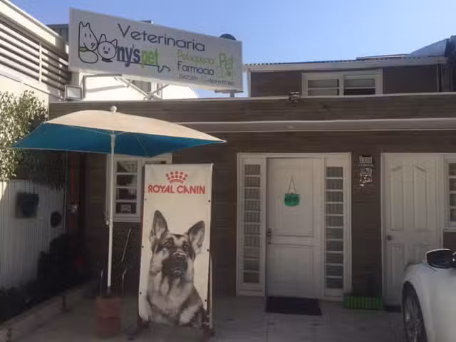 Clinica veterinaria One Health