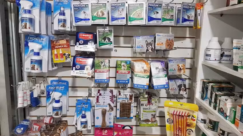 Cl&iacute;nica Veterinaria Parral