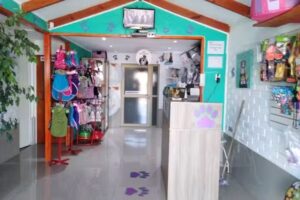 Cl&iacute;nica Veterinaria Pata&rsquo;s