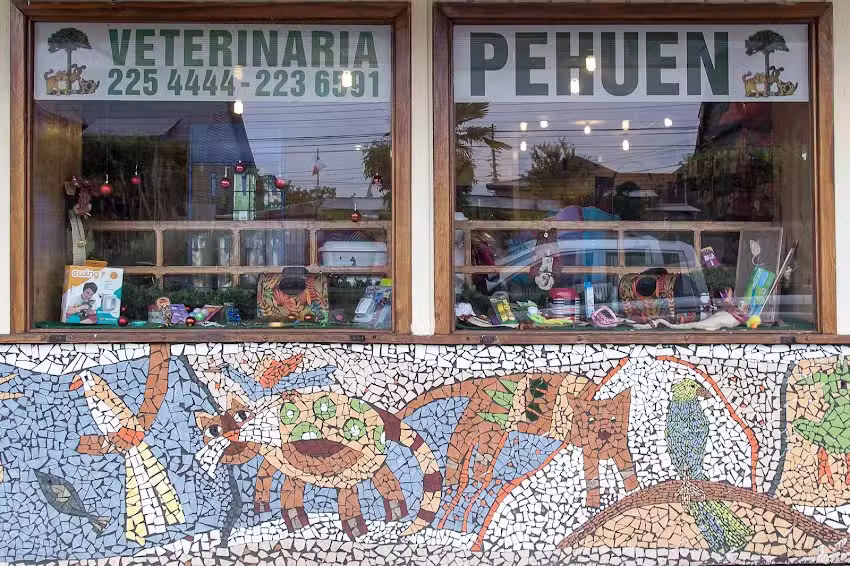 Cl&iacute;nica Veterinaria Pehuen Osorno