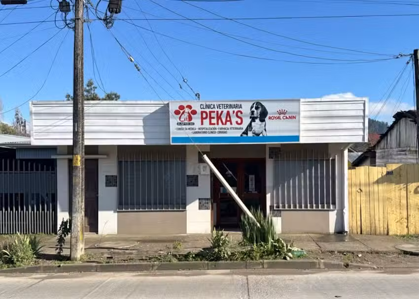 Cl&iacute;nica Veterinaria Peka&rsquo;s