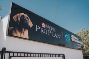Clinica Veterinaria Pe&ntilde;uelas