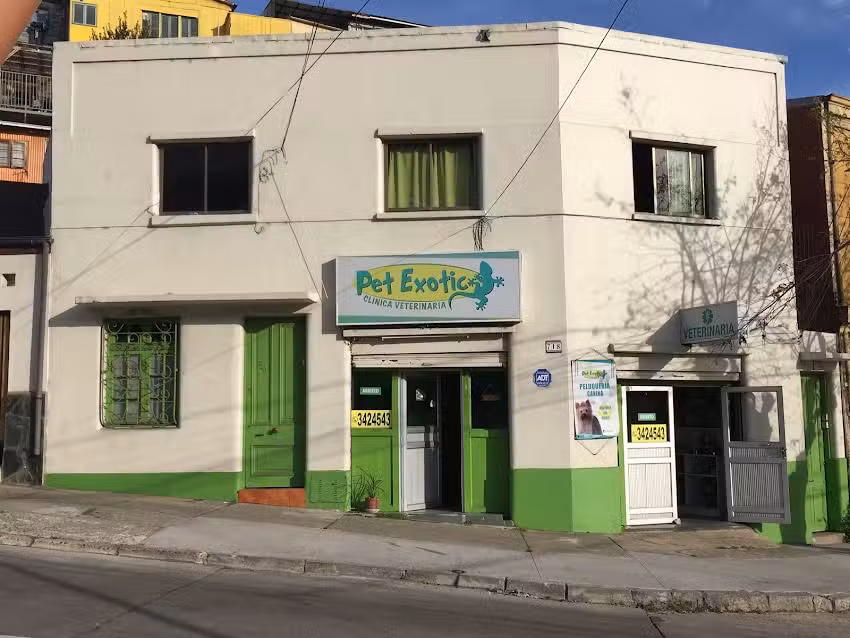 Cl&iacute;nica Veterinaria Pet Exotic