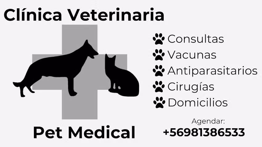 Cl&iacute;nica Veterinaria Pet Medical