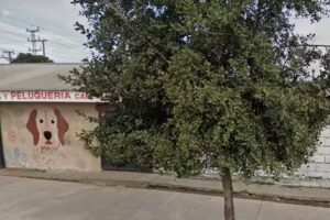 Cl&iacute;nica Veterinaria P&iacute;aVet &ndash; Talca