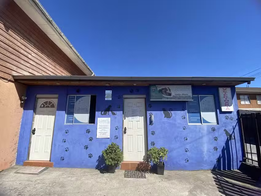 Cl&iacute;nica veterinaria salud animal Hualp&eacute;n