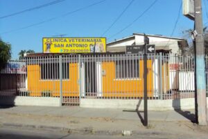 Clínica Veterinaria San Antonio (Stgo. R.M)