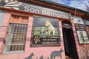 Clínica Veterinaria San Bernardo