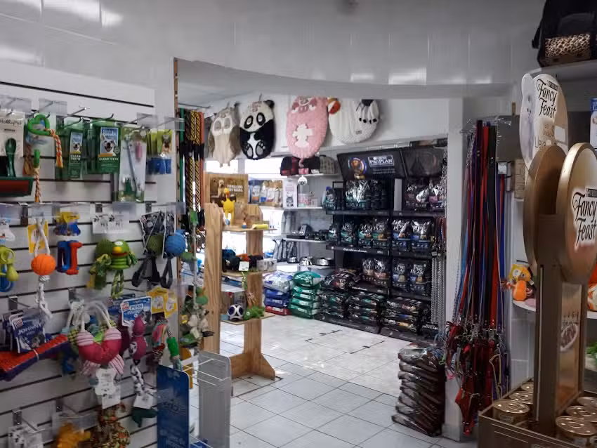 Cl&iacute;nica Veterinaria San Crist&oacute;bal