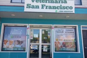 Clinica Veterinaria San Francisco Loncoche