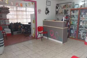 Cl&iacute;nica Veterinaria San Lorenzo