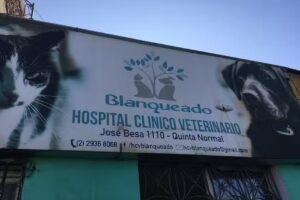 Clinica Veterinaria Santa Clara, Andrea Maria Carcamo Pino E.I.R.L.