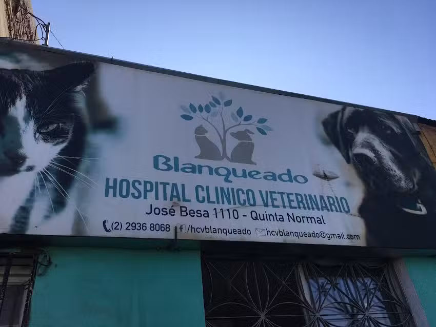 Clinica Veterinaria Santa Clara, Andrea Maria Carcamo Pino E.I.R.L.
