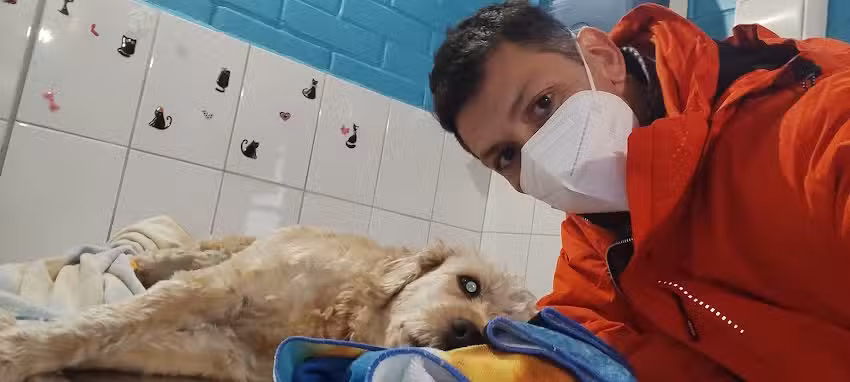 Clinica Veterinaria Santa Gema