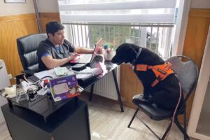 Clínica Veterinaria Santa Sofía