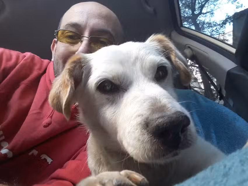 Cl&iacute;nica Veterinaria Santiago Centro SALUDANIMAL