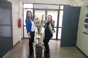 Clinica Veterinaria Santo Tomas