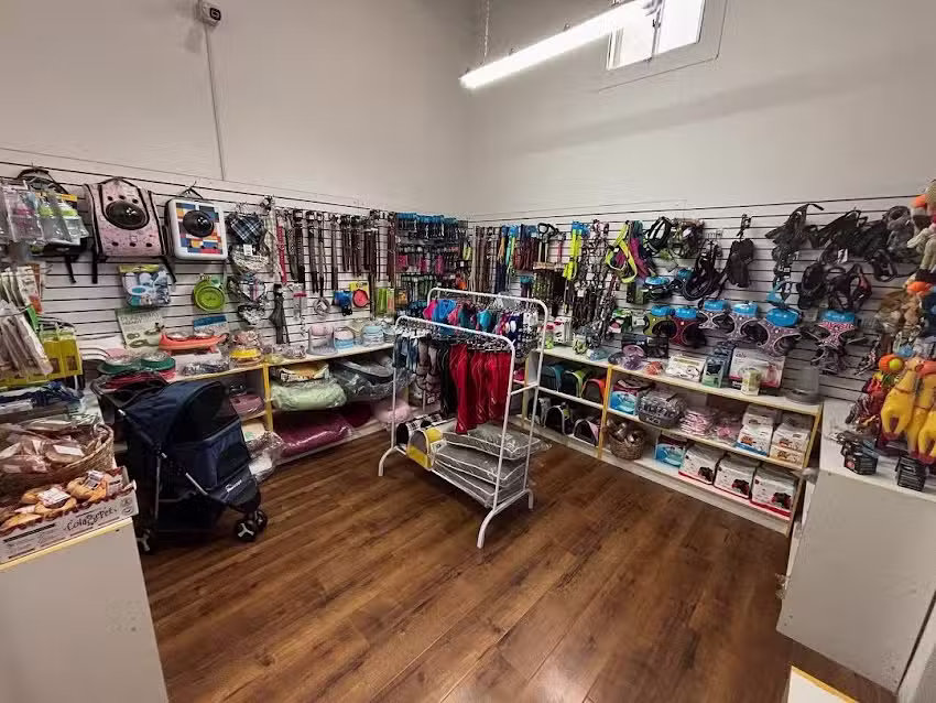 Cl&iacute;nica Veterinaria Sebanic Mascotas &ndash; Sucursal Patricio Lynch