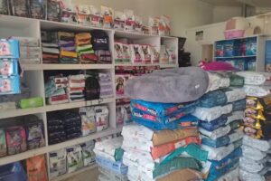 Clinica Veterinaria Suricatas pet