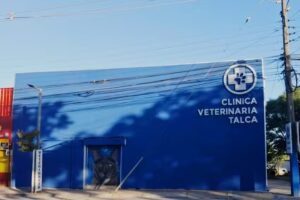Clinica Veterinaria Talca