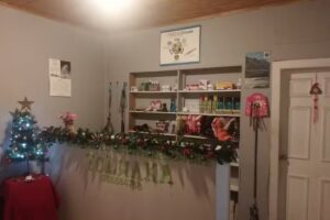 Cl&iacute;nica Veterinaria Tolwaka