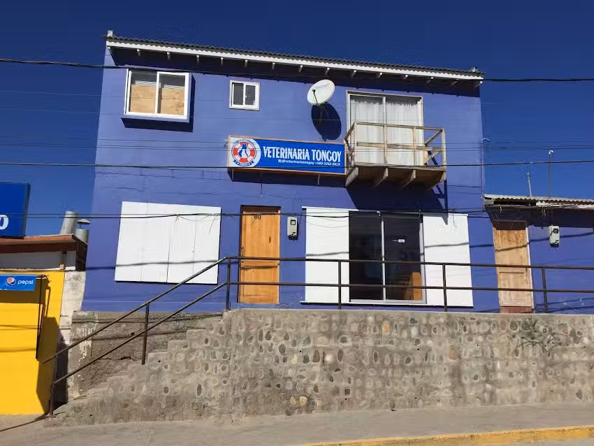 Cl&iacute;nica Veterinaria Tongoy