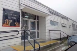 Clinica Veterinaria UNAB