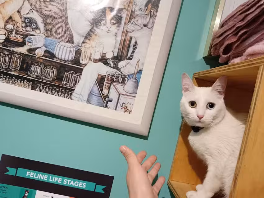 Clinica Veterinaria UNIVERZOO CVU