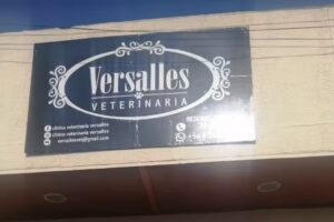 Clinica Veterinaria Versalles