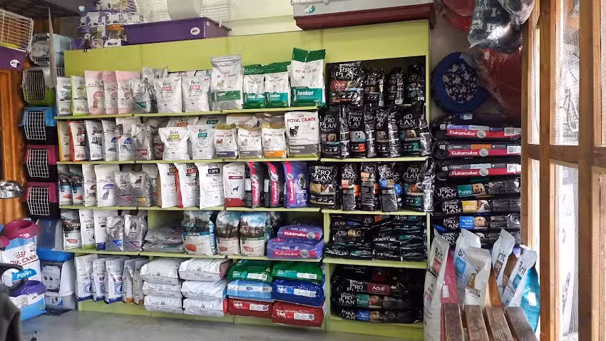 Cl&iacute;nica Veterinaria Vet Collie Puente Alto