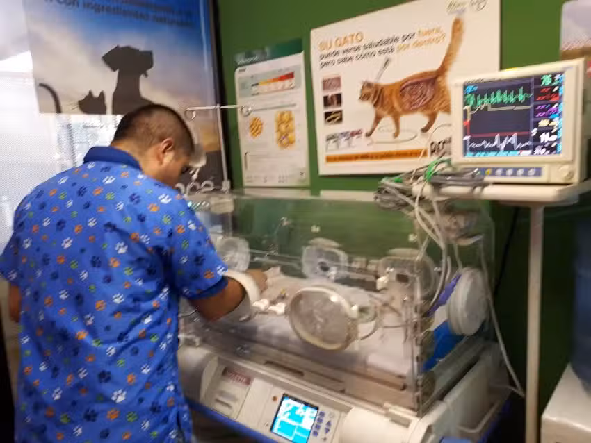 Cl&iacute;nica Veterinaria Vet&rsquo;s Care