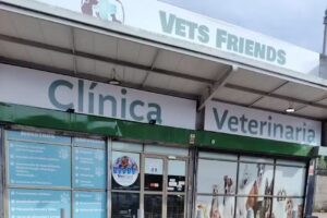 Clinica Veterinaria Vets Friends