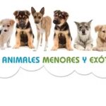 CL&Iacute;NICA VETERINARIA VETSALUD