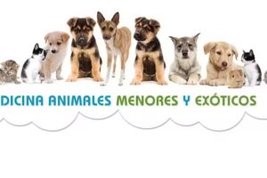 CL&Iacute;NICA VETERINARIA VETSALUD