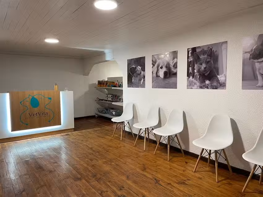 Clinica veterinaria VetVita