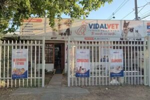 Cl&iacute;nica Veterinaria Vidal Vet