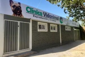 CLINICA VETERINARIA VIDANIMAL