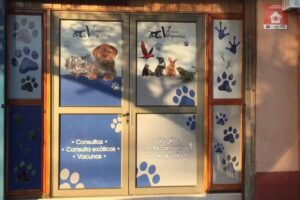 Cl&iacute;nica Veterinaria Villapatitas SpA