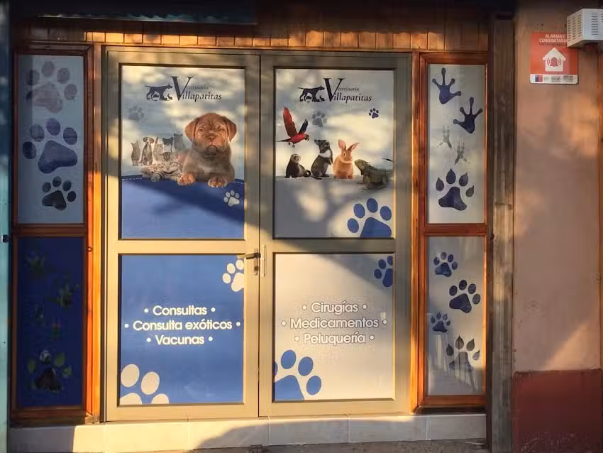 Cl&iacute;nica Veterinaria Villapatitas SpA