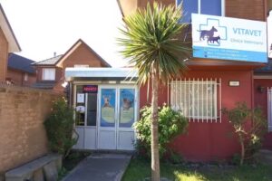 Cl&iacute;nica Veterinaria VitaVet