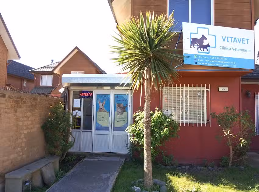 Cl&iacute;nica Veterinaria VitaVet