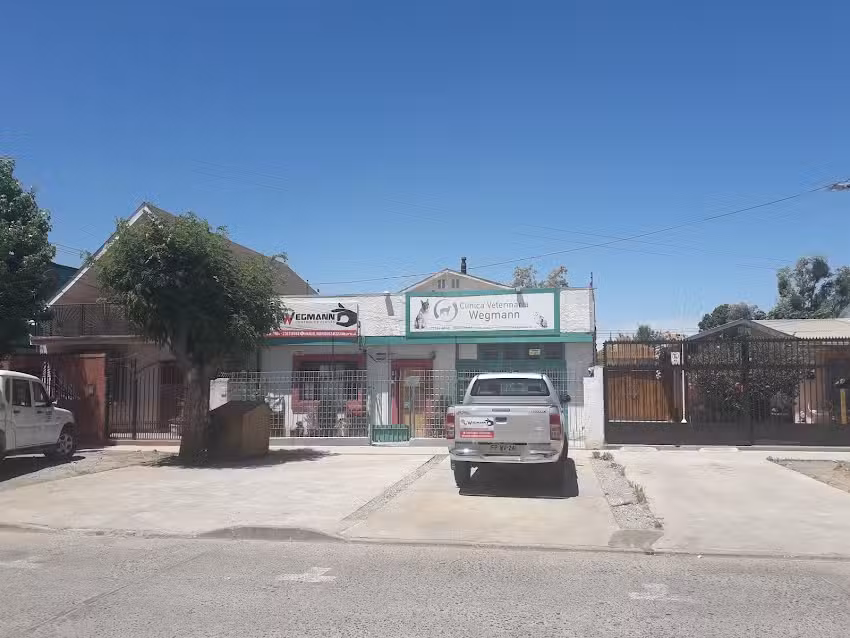 Clinica Veterinaria Wegmann