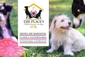Clínica Veterinaria y Hotel The Place’s