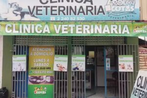 Cl&iacute;nica Veterinaria Zoolomascotas