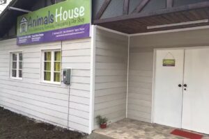 Clinica y farmacia veterinaria Animals House en San Vicente de Tagua Tagua